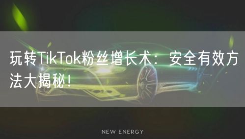 玩转TikTok粉丝增长术：安全有效方法大揭秘！