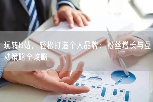 玩转B站，轻松打造个人品牌：粉丝增长与互动策略全攻略