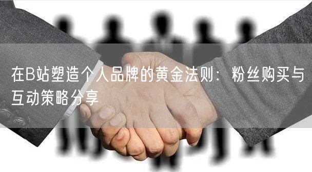 在B站塑造个人品牌的黄金法则：粉丝购买与互动策略分享