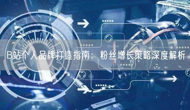 B站个人品牌打造指南：粉丝增长策略深度解析