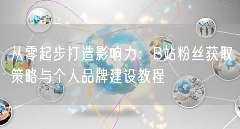 从零起步打造影响力：B站粉丝获取策略与个人品牌建设教程