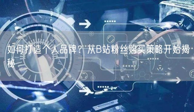 如何打造个人品牌？从B站粉丝购买策略开始揭秘