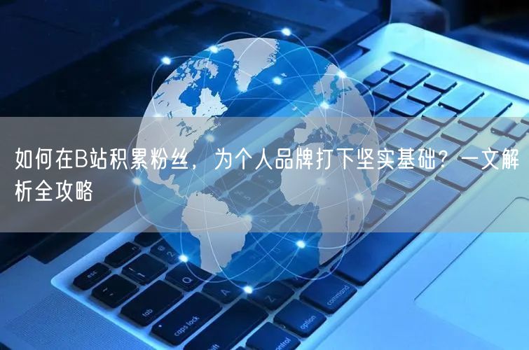 如何在B站积累粉丝，为个人品牌打下坚实基础？一文解析全攻略