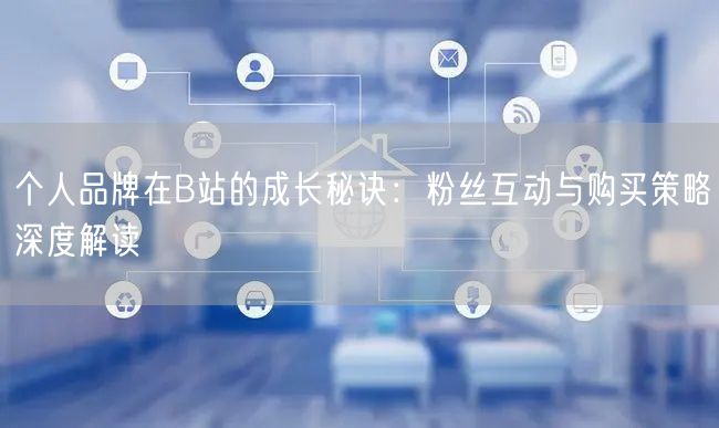 个人品牌在B站的成长秘诀：粉丝互动与购买策略深度解读