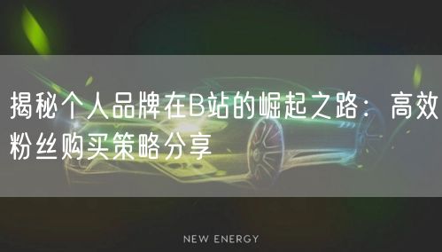 揭秘个人品牌在B站的崛起之路：高效粉丝购买策略分享