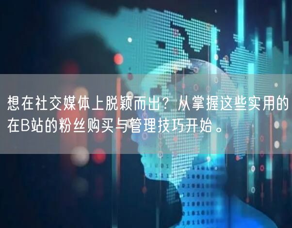 想在社交媒体上脱颖而出？从掌握这些实用的在B站的粉丝购买与管理技巧开始。