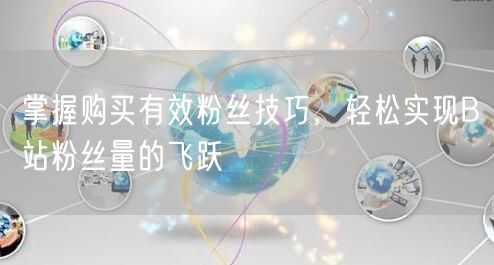 掌握购买有效粉丝技巧，轻松实现B站粉丝量的飞跃