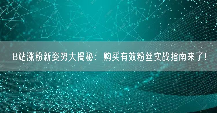 B站涨粉新姿势大揭秘：购买有效粉丝实战指南来了！