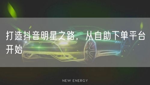 打造抖音明星之路，从自助下单平台开始