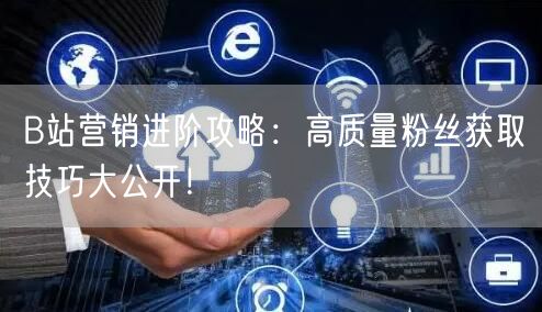 B站营销进阶攻略：高质量粉丝获取技巧大公开！