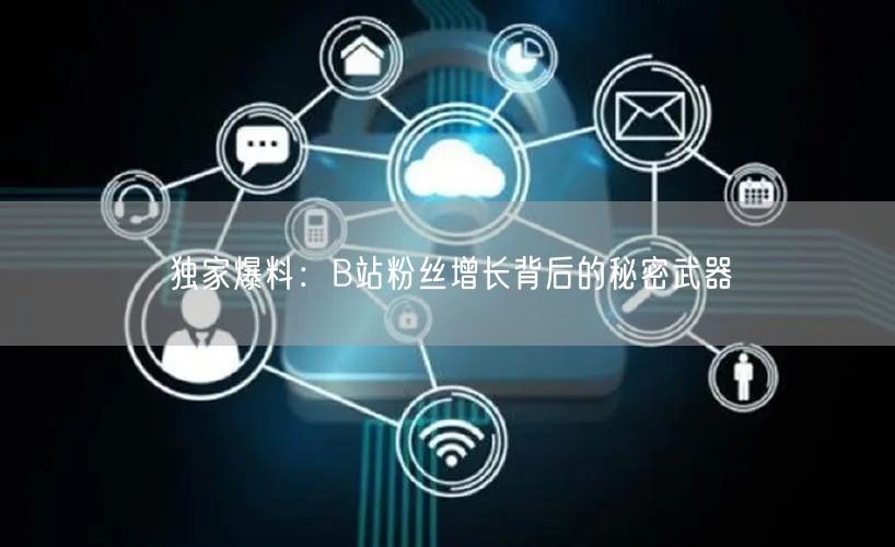 独家爆料：B站粉丝增长背后的秘密武器