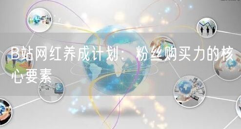 B站网红养成计划：粉丝购买力的核心要素