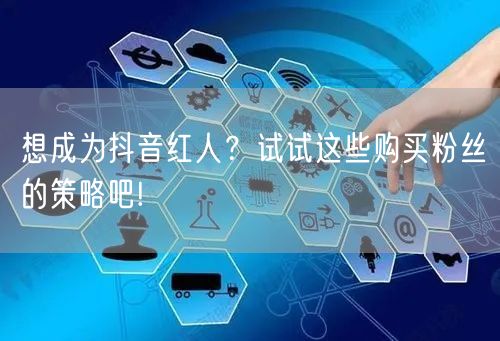 想成为抖音红人？试试这些购买粉丝的策略吧!