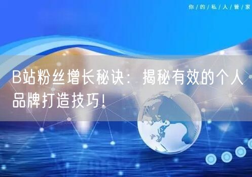 B站粉丝增长秘诀：揭秘有效的个人品牌打造技巧！
