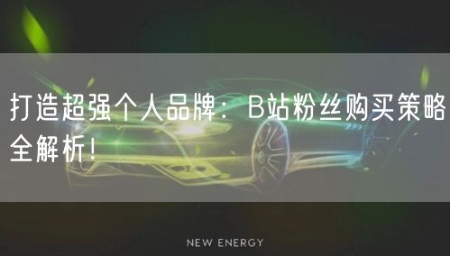 打造超强个人品牌：B站粉丝购买策略全解析！