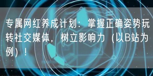 专属网红养成计划：掌握正确姿势玩转社交媒体，树立影响力（以B站为例）!