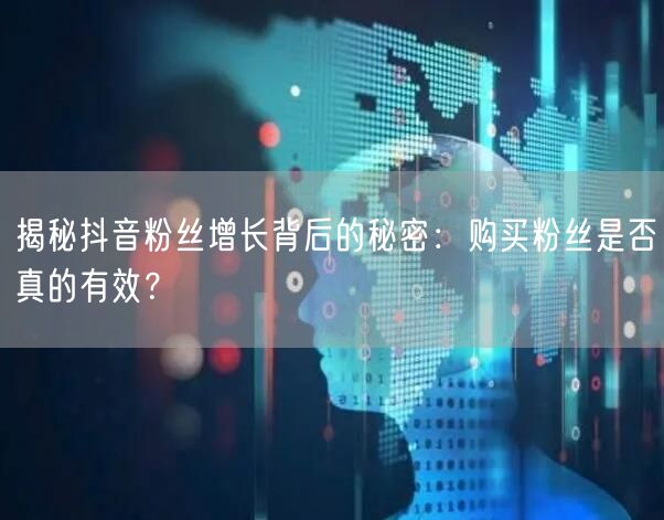 揭秘抖音粉丝增长背后的秘密：购买粉丝是否真的有效？