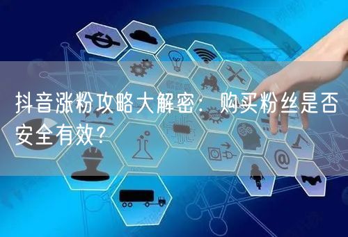抖音涨粉攻略大解密：购买粉丝是否安全有效？