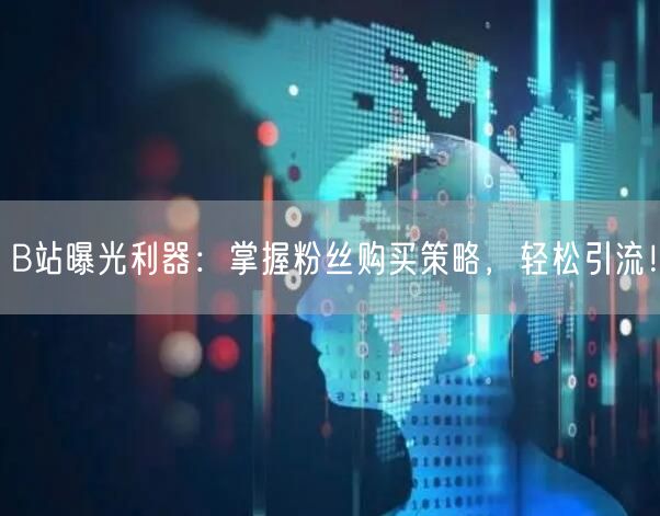 B站曝光利器：掌握粉丝购买策略，轻松引流！