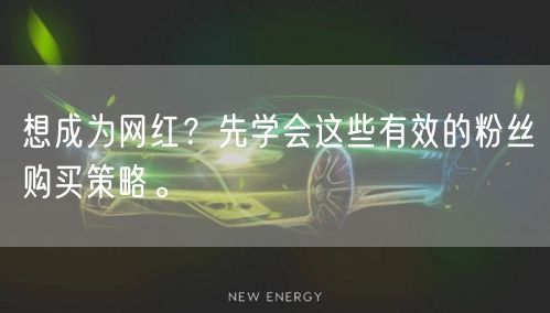 想成为网红？先学会这些有效的粉丝购买策略。