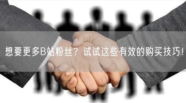 想要更多B站粉丝？试试这些有效的购买技巧！