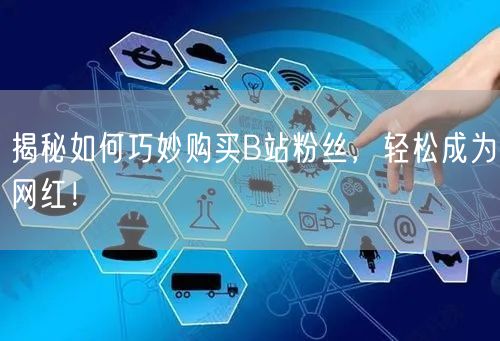 揭秘如何巧妙购买B站粉丝，轻松成为网红！