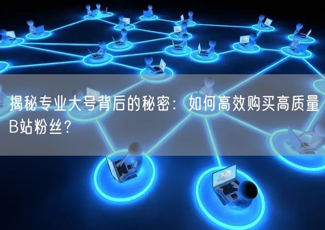 揭秘专业大号背后的秘密：如何高效购买高质量B站粉丝？