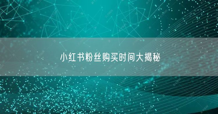 小红书粉丝购买时间大揭秘