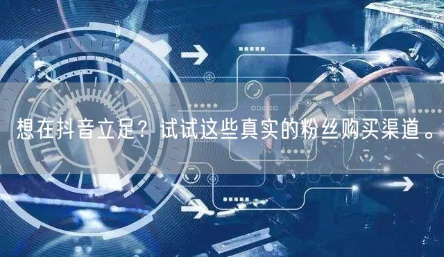 想在抖音立足？试试这些真实的粉丝购买渠道。