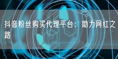 抖音粉丝购买代理平台：助力网红之路