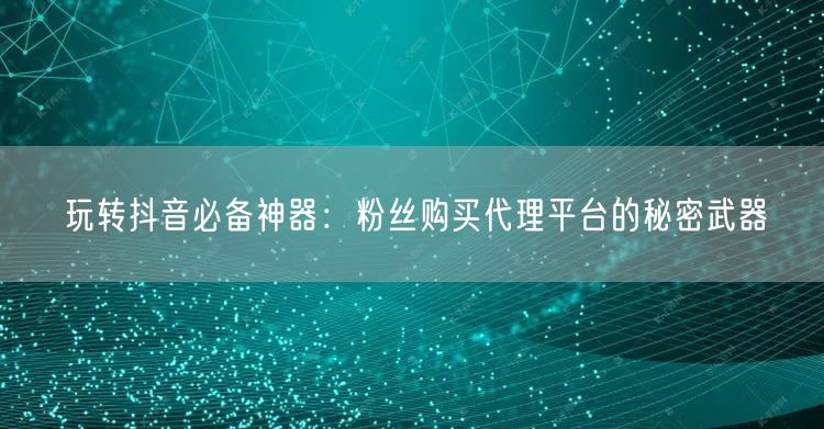 玩转抖音必备神器：粉丝购买代理平台的秘密武器