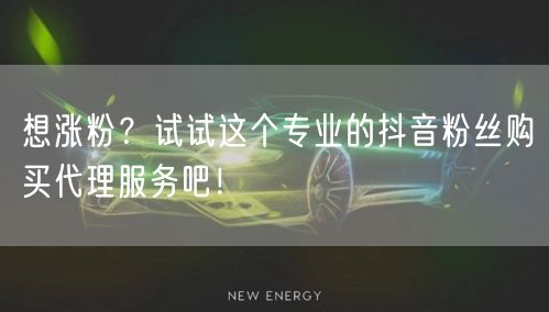 想涨粉？试试这个专业的抖音粉丝购买代理服务吧！