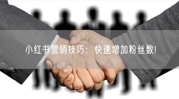 小红书营销技巧：快速增加粉丝数!