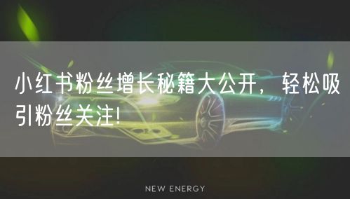 小红书粉丝增长秘籍大公开，轻松吸引粉丝关注!