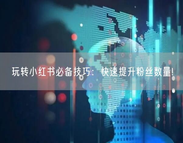 玩转小红书必备技巧：快速提升粉丝数量!