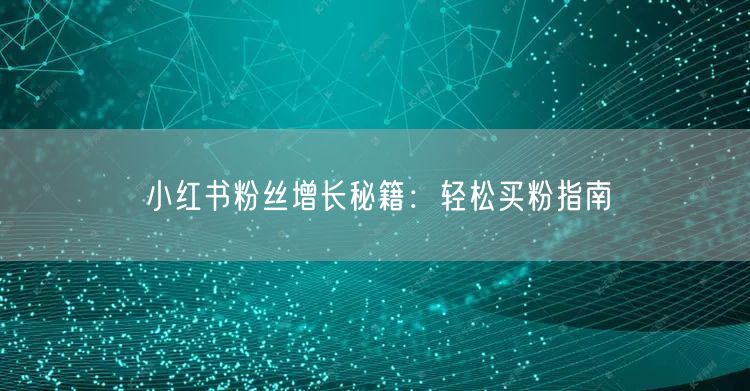 小红书粉丝增长秘籍：轻松买粉指南