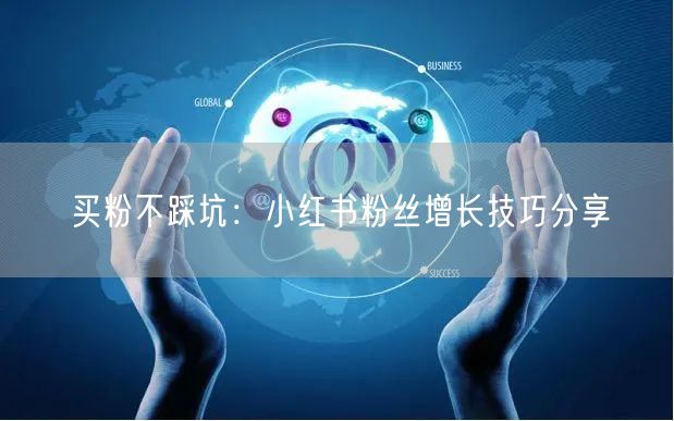 买粉不踩坑：小红书粉丝增长技巧分享