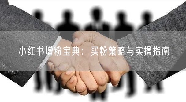 小红书增粉宝典：买粉策略与实操指南
