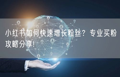 小红书如何快速增长粉丝？专业买粉攻略分享!