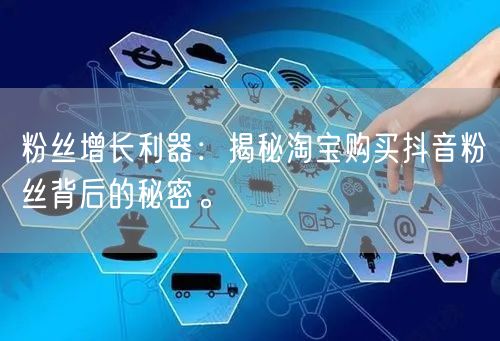 粉丝增长利器：揭秘淘宝购买抖音粉丝背后的秘密。