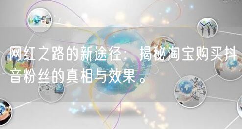 网红之路的新途径：揭秘淘宝购买抖音粉丝的真相与效果。