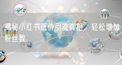 揭秘小红书低价引流真相，轻松增加粉丝数