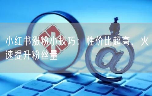 小红书涨粉小技巧：性价比超高，火速提升粉丝量