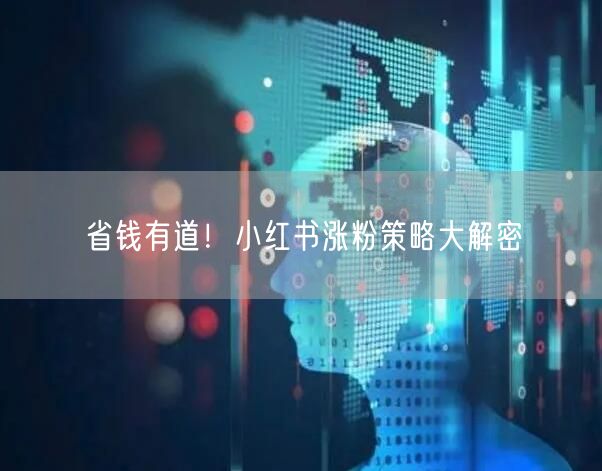省钱有道！小红书涨粉策略大解密