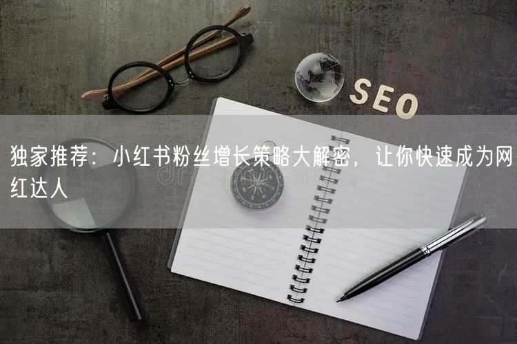 独家推荐：小红书粉丝增长策略大解密，让你快速成为网红达人