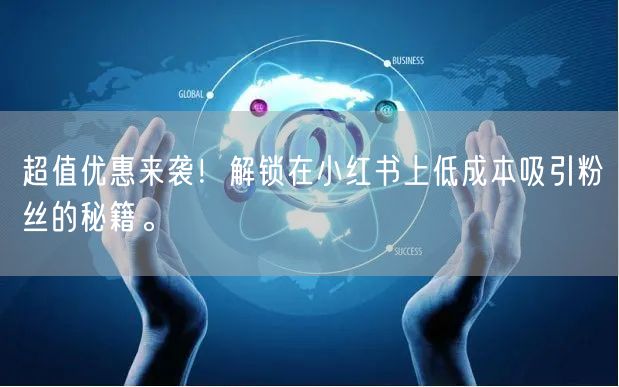 超值优惠来袭！解锁在小红书上低成本吸引粉丝的秘籍。