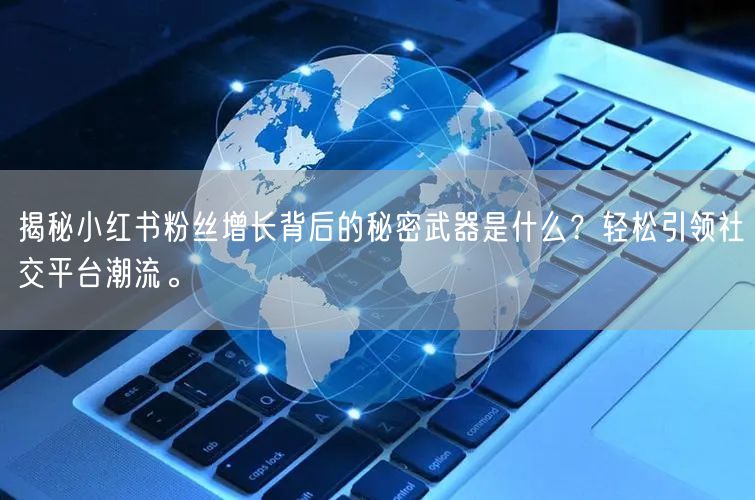 揭秘小红书粉丝增长背后的秘密武器是什么？轻松引领社交平台潮流。