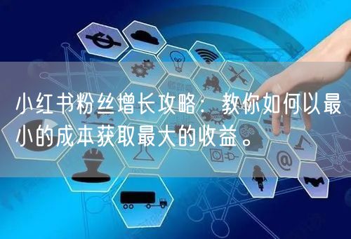 小红书粉丝增长攻略：教你如何以最小的成本获取最大的收益。