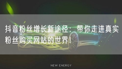 抖音粉丝增长新途径：带你走进真实粉丝购买网站的世界！