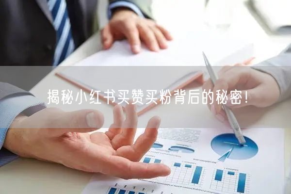 揭秘小红书买赞买粉背后的秘密！
